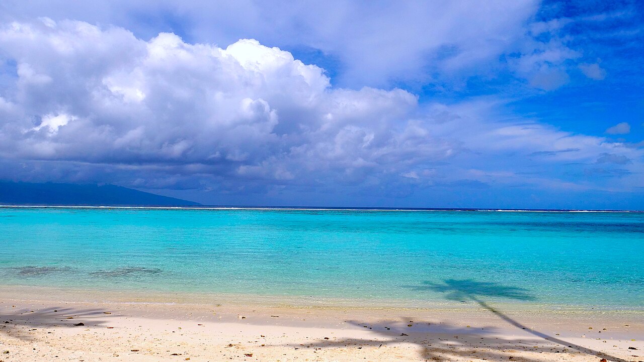 Lagon turquoise et plage de sable blanc de Temae à Moorea, avec l'ombre d'un cocotier